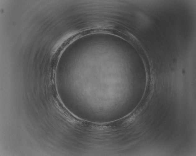 X0000053131019200507181858