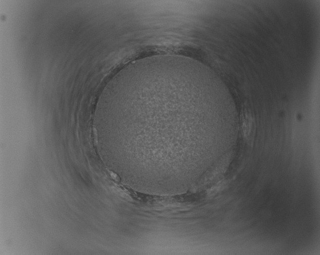X0000053131057200507181858
