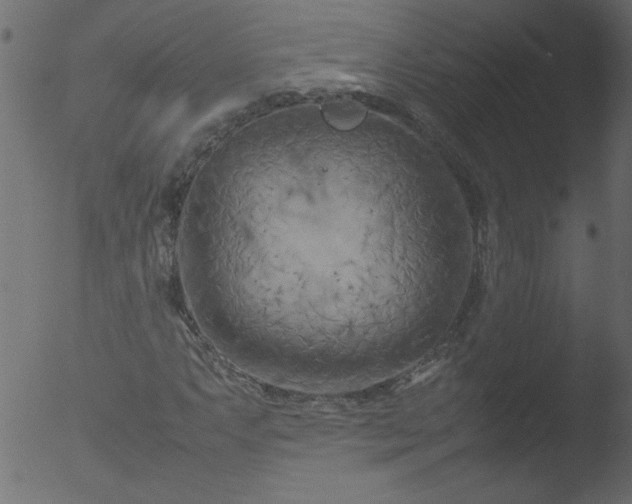 X0000053131063200507181858
