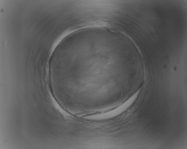 X0000053131099200507181857