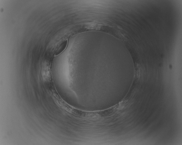 X0000053131154200507181856