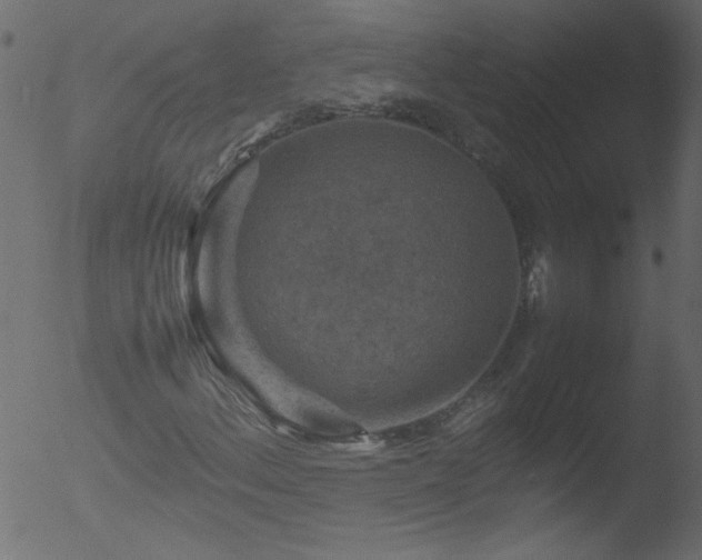 X0000053131156200507181856