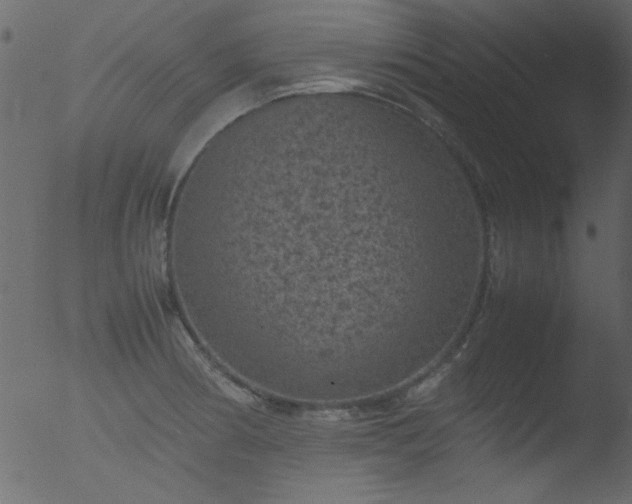 X0000053131186200507181856