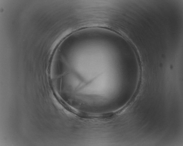 X0000053131189200507181856