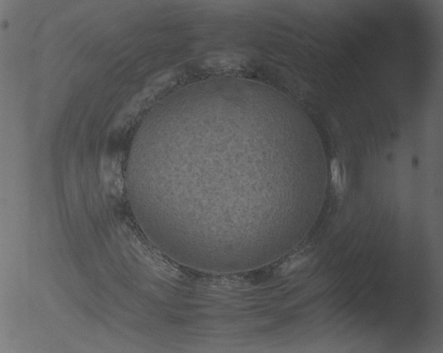 X0000053131203200507181855
