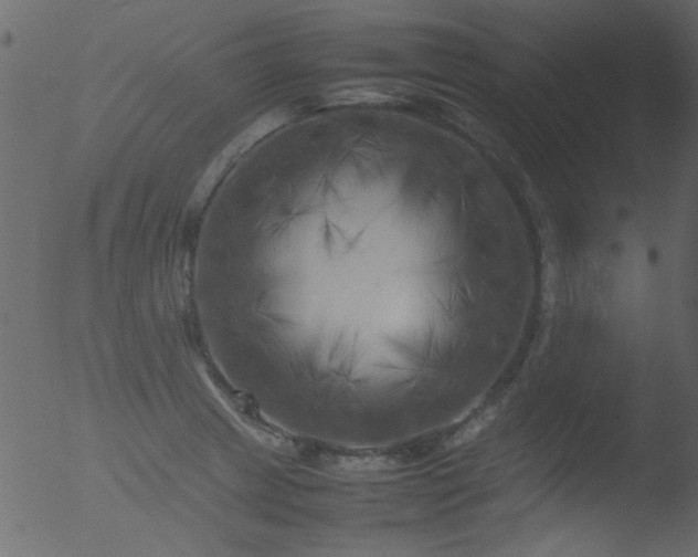 X0000053131233200507181855