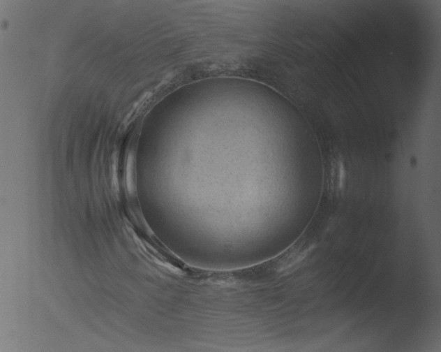 X0000053131250200507181855