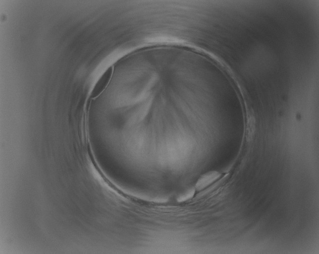 X0000053131295200507181854