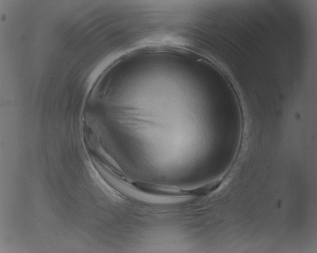 X0000053131344200507181854