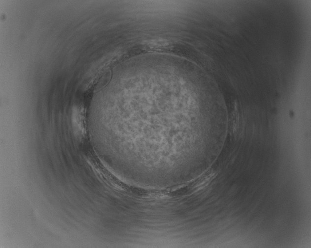 X0000053131346200507181853