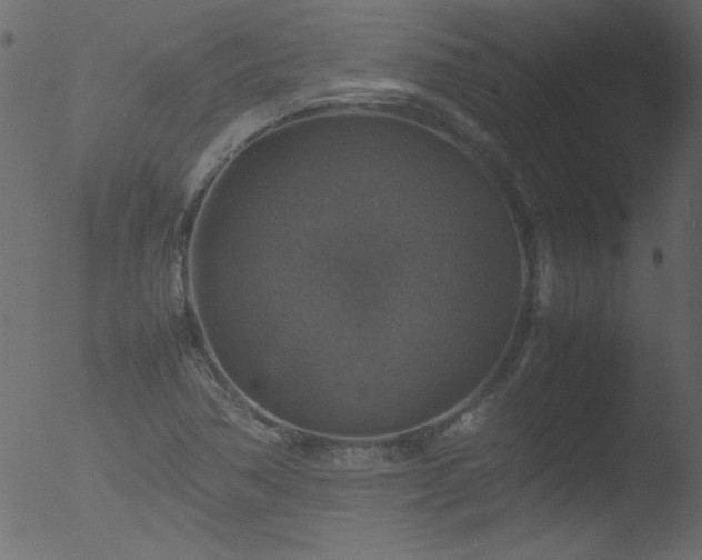 X0000053131362200507181853