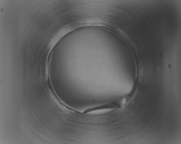 X0000053131370200507181853