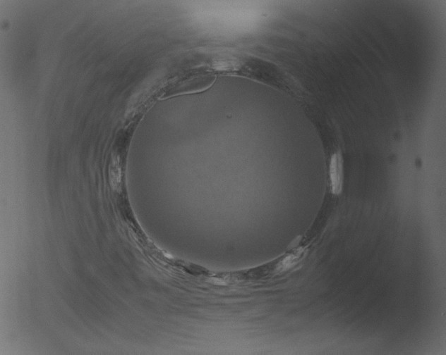 X0000053131443200507181851