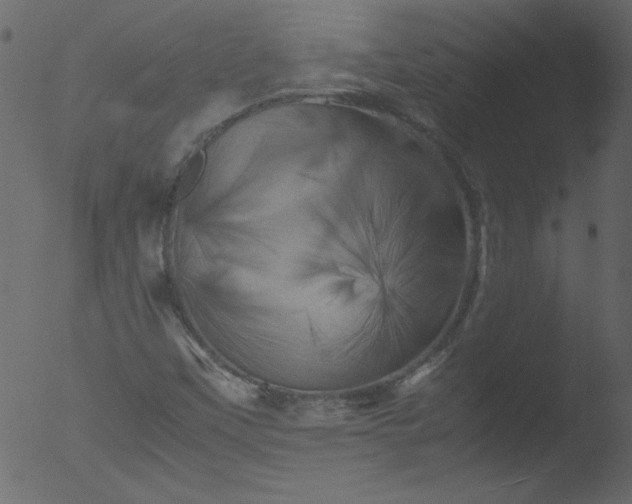 X0000053131451200507181851