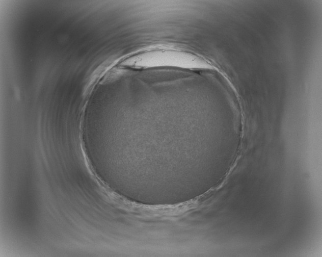 X0000053130001200507251801