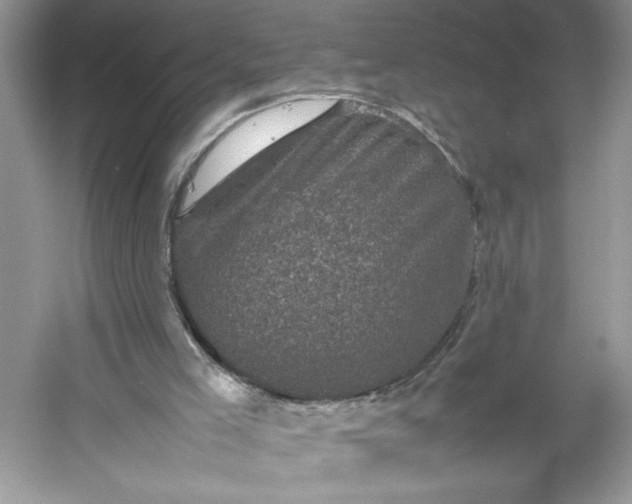 X0000053130005200507251801