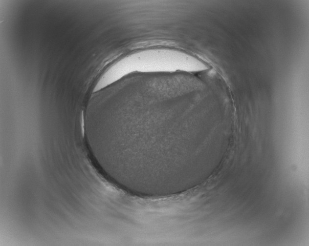 X0000053130013200507251801