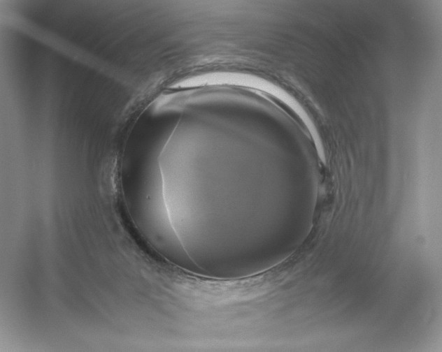 X0000053130023200507251801