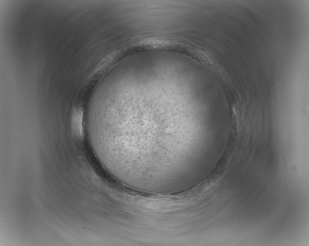 X0000053130024200507251801