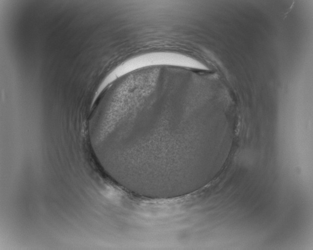 X0000053130025200507251801