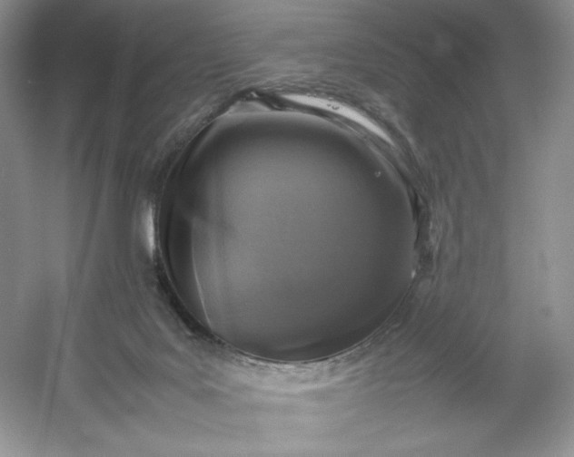 X0000053130027200507251801