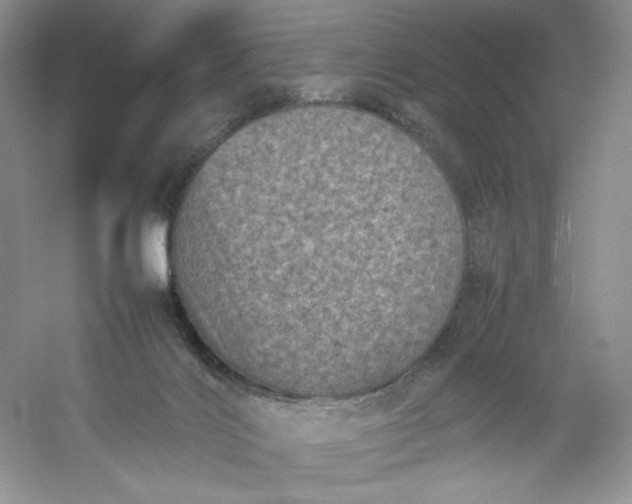 X0000053130028200507251801