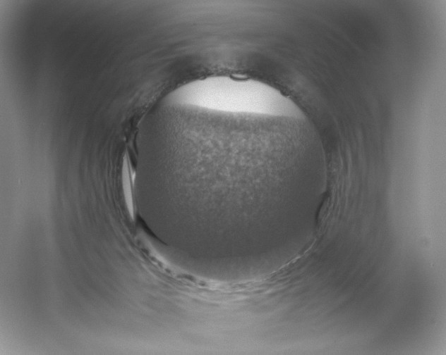 X0000053130029200507251801