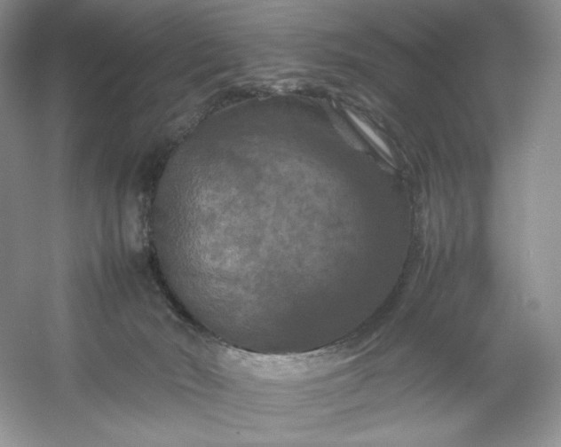 X0000053130030200507251801