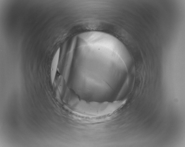 X0000053130031200507251801