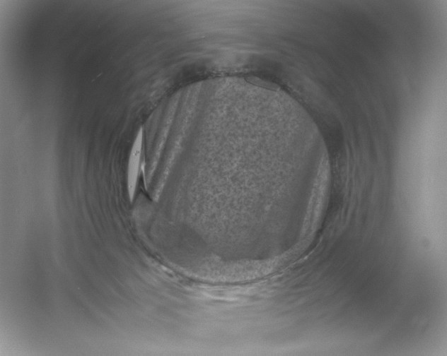 X0000053130033200507251801