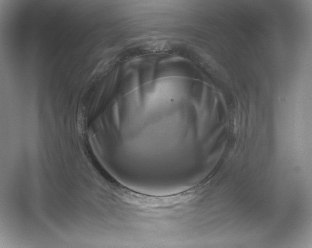 X0000053130035200507251801