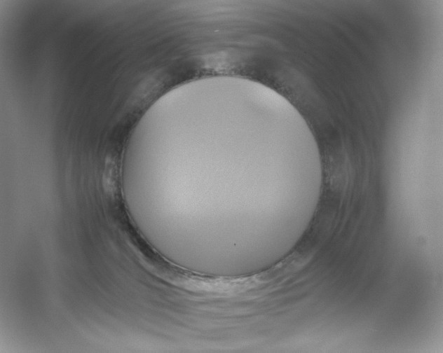 X0000053130036200507251801