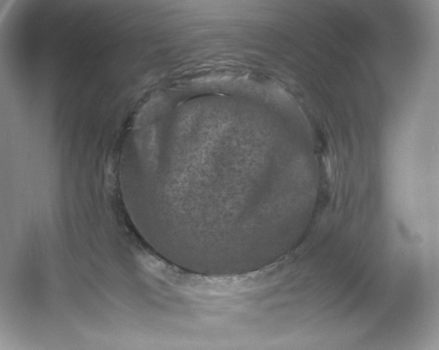 X0000053130037200507251801