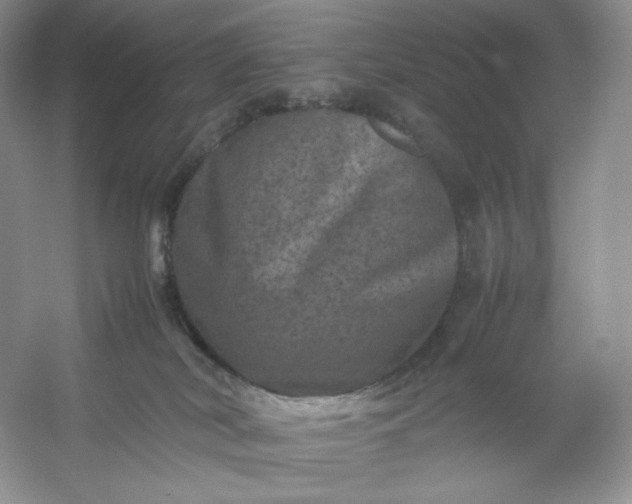 X0000053130038200507251801