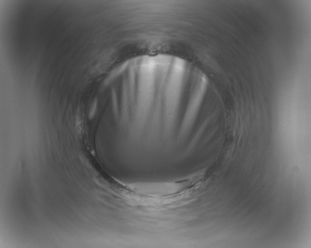 X0000053130039200507251801