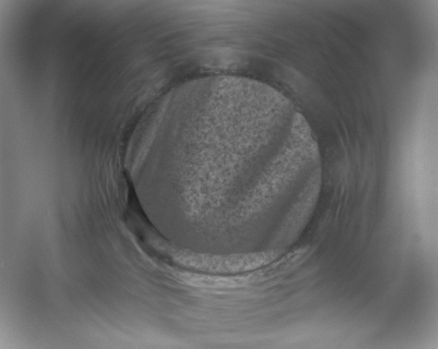 X0000053130040200507251801