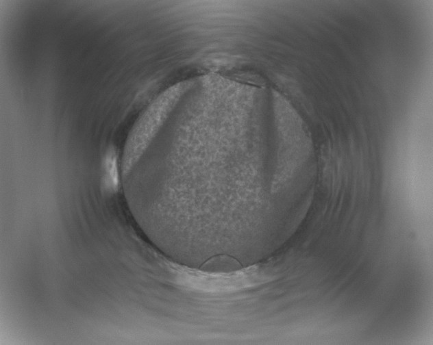 X0000053130042200507251801