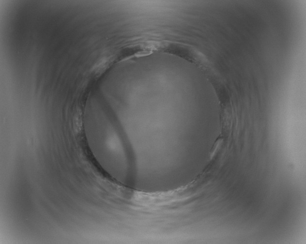 X0000053130043200507251801