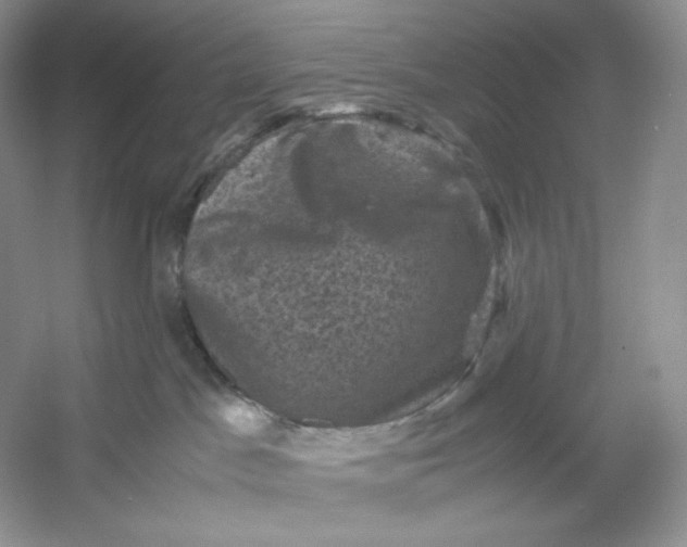 X0000053130045200507251801