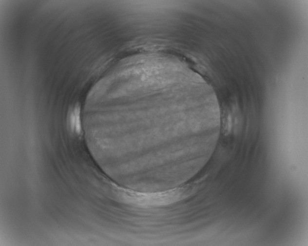 X0000053130046200507251801