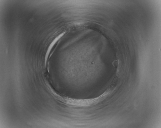 X0000053130048200507251800