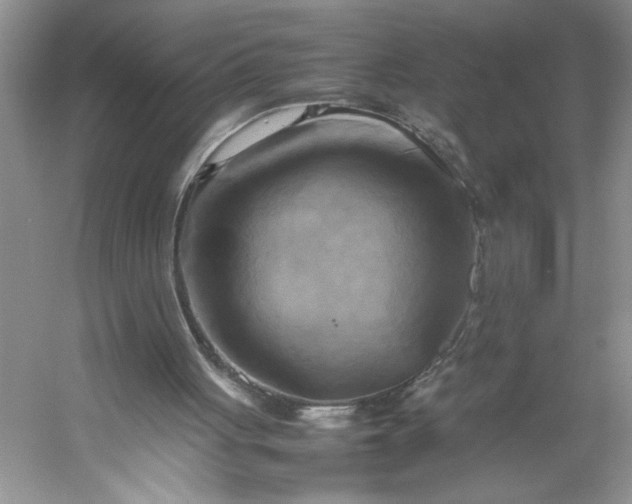 X0000053130051200507251800