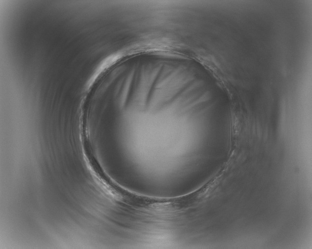 X0000053130054200507251800