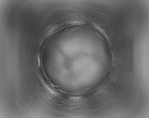 X0000053130061200507251800