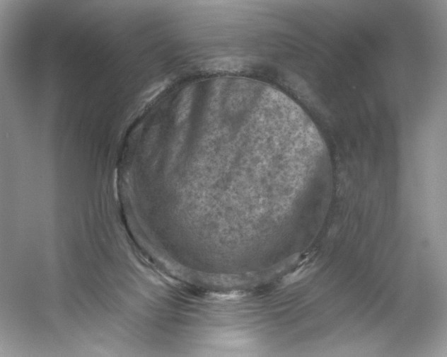 X0000053130068200507251800