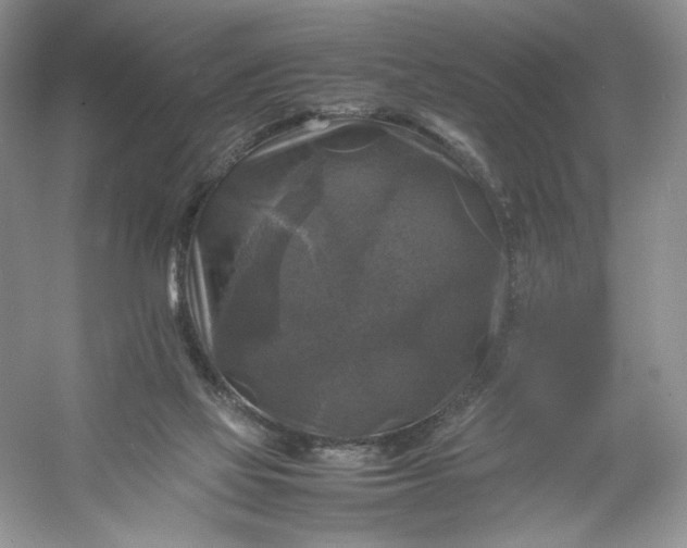 X0000053130069200507251800