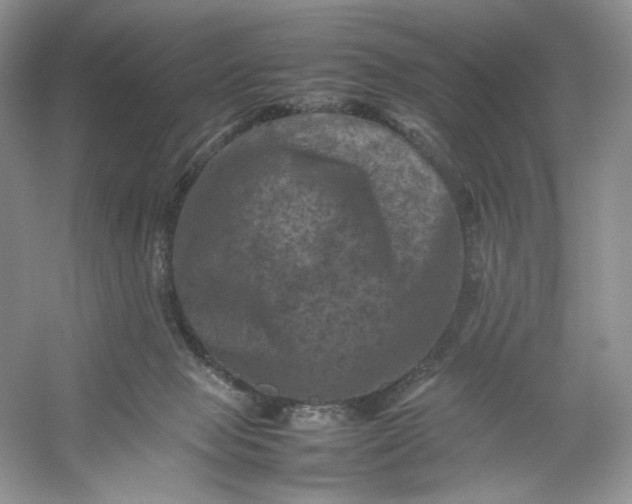 X0000053130077200507251800