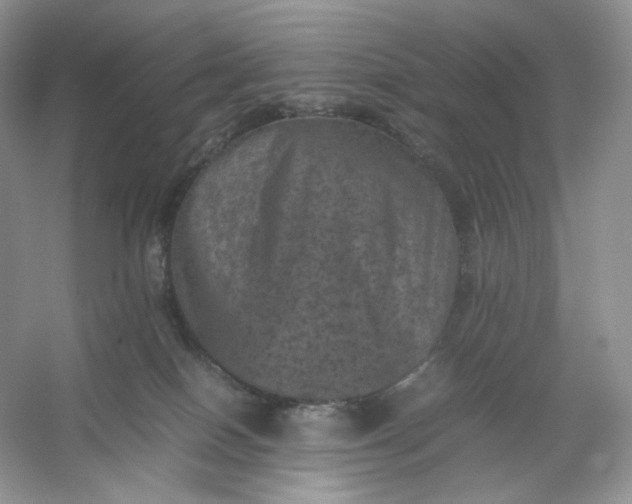 X0000053130086200507251800