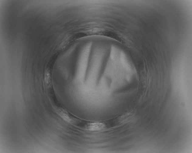 X0000053130087200507251800