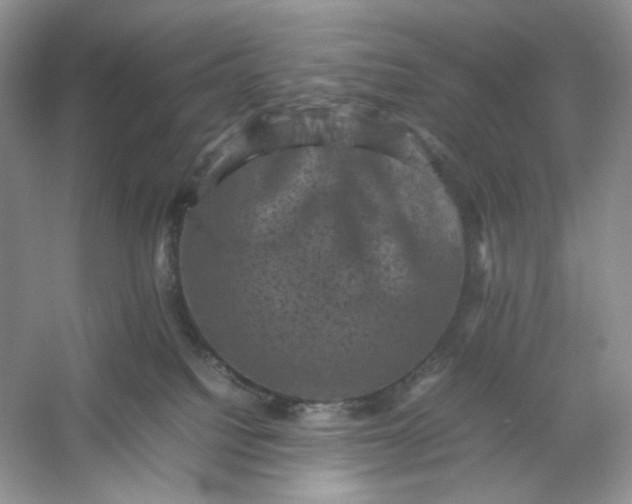 X0000053130088200507251800